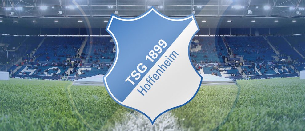 aufstellungen: teilnehmer: darmstadt 98 gegen hoffenheim